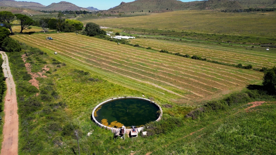 5 Bedroom Property for Sale in Steynsburg Rural Eastern Cape